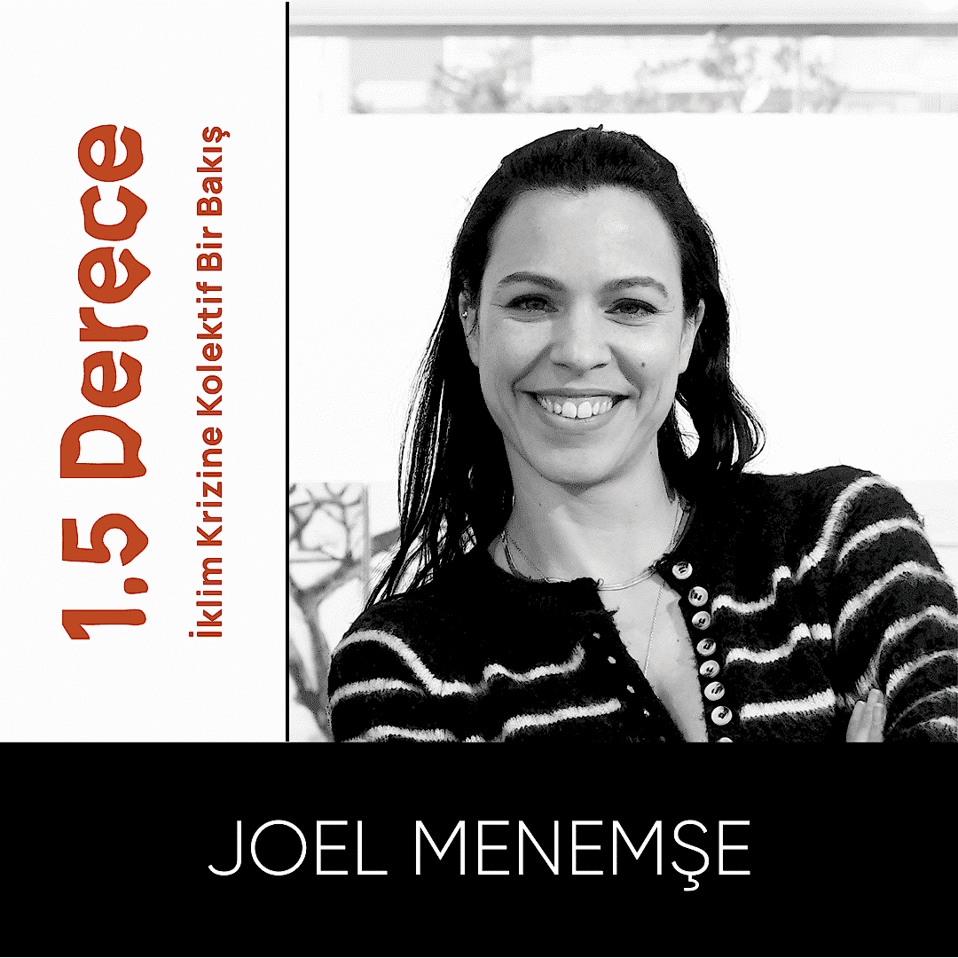 joel-menemse