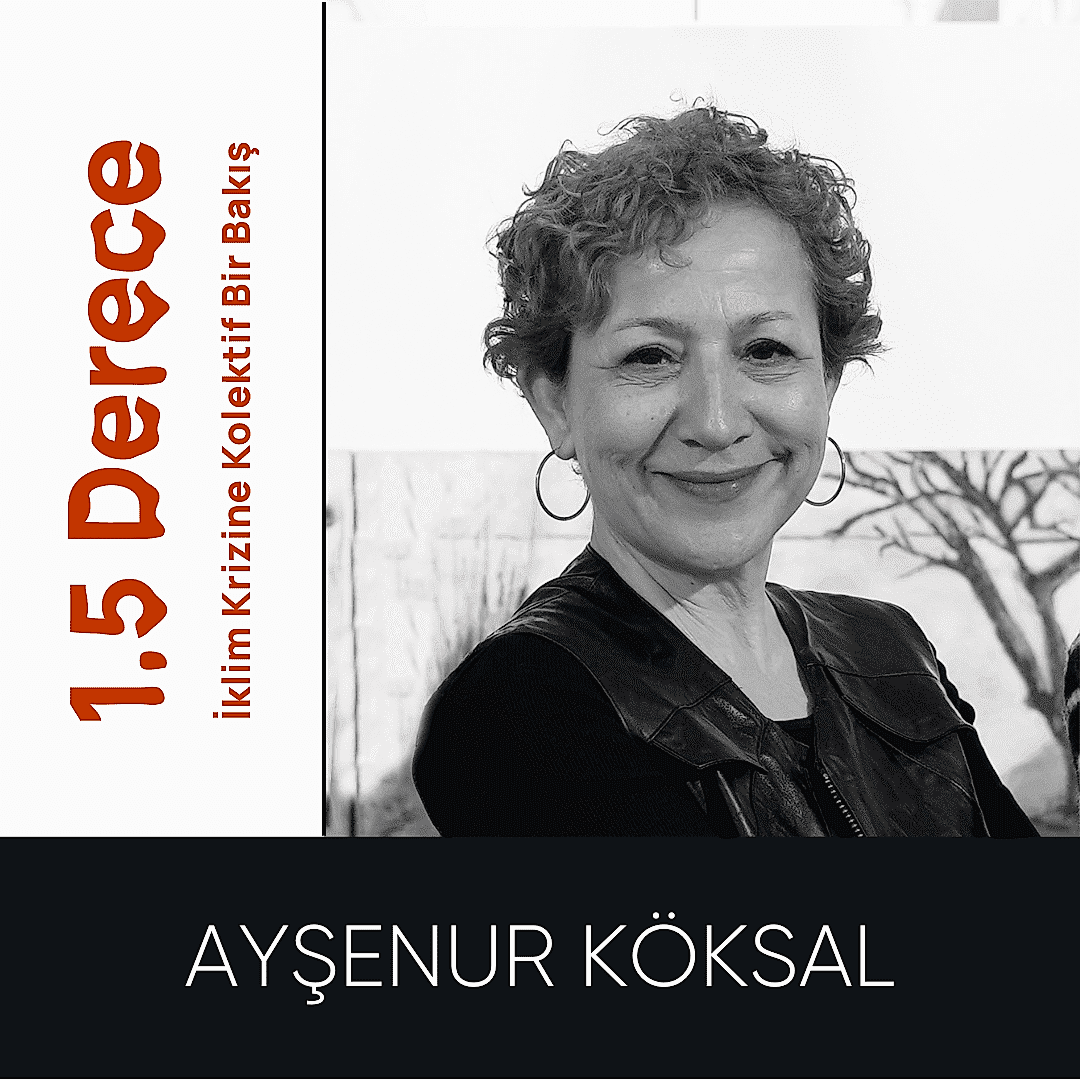 aysenur-koksal